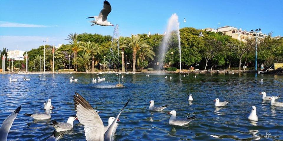 Torrevieja Experience Atico 1ª Linea Apartment Luaran gambar